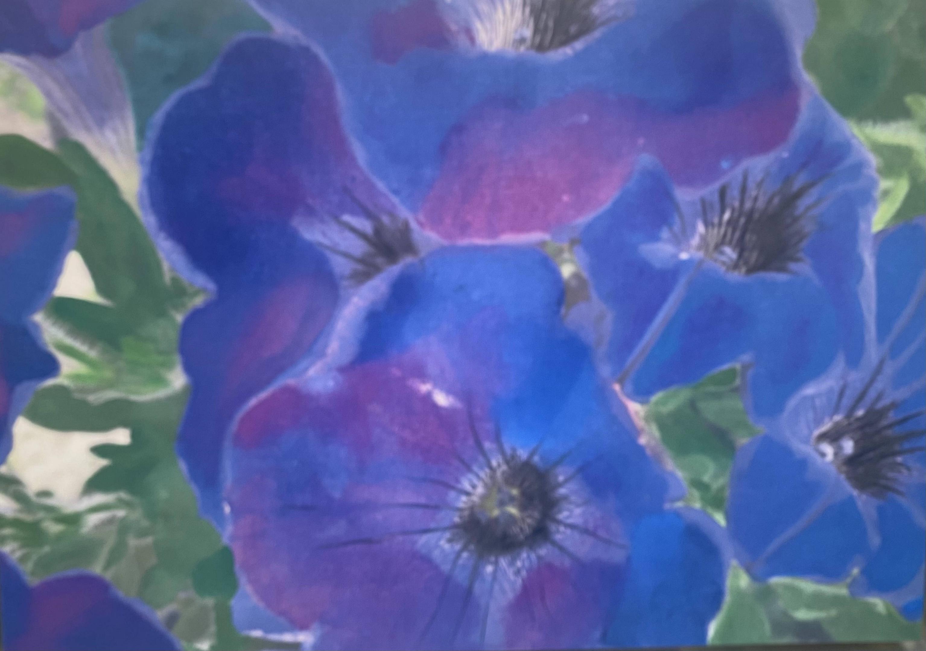 Flores azules&#60;br&#62;Foto y acrílico sobre tela&#60;br&#62;87x63.5cm